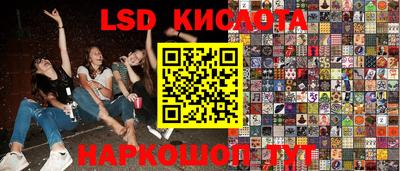 спиды Камышлов
