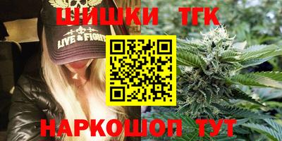 спиды Камышлов