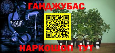 спиды Камышлов