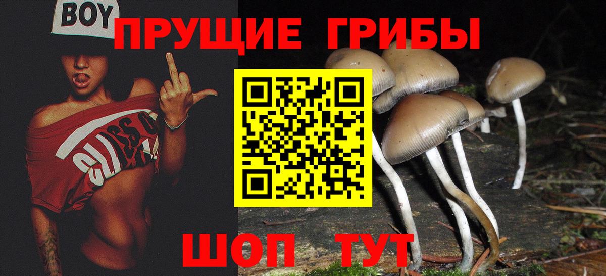Галлюциногенные грибы MAGIC MUSHROOMS  Вход с VPN  Псилоцибиновые грибы Cubensis  Усолье-Сибирское 